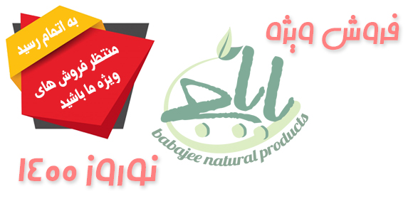 segal_babajee05
